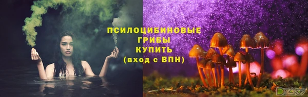 стаф Алексеевка