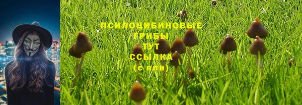 стаф Алексеевка