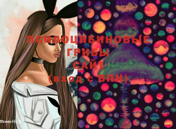 стаф Алексеевка